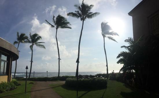 The Link@Sheraton Café